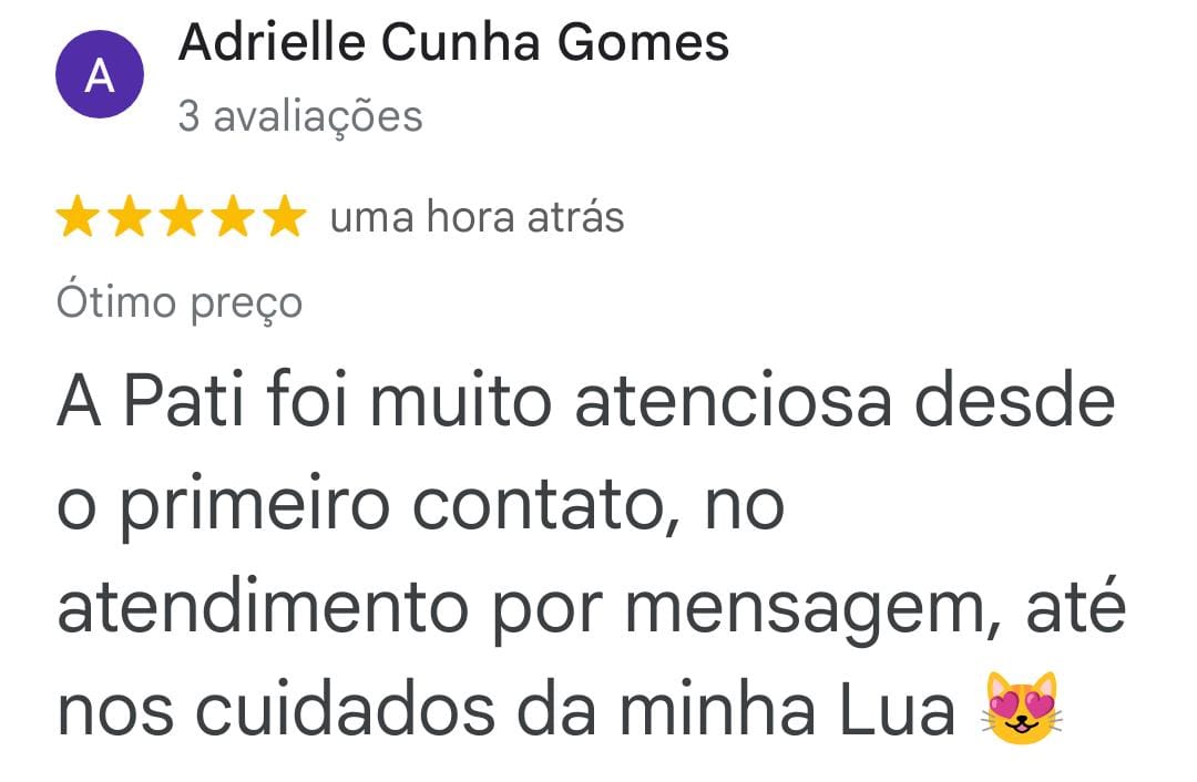 Avaliação de Adrielle Cunha Gomes no Google, cinco estrelas: relata que Pati foi atenciosa desde o primeiro contato até os cuidados com sua gata Lua.